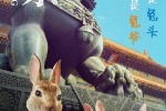 电影《比得兔2：逃跑计划》海报图片
