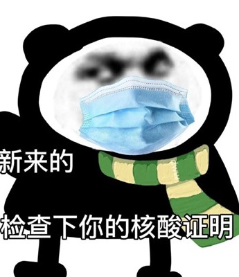Panda head funny emoticon picture