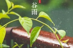 二十四節氣穀雨高清圖片