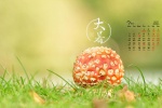 July 2021 summer desktop calendar wallpaper