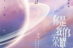 电视剧《你是我的荣耀》海报图片