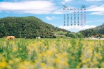 July 2021 fresh summer scenery desktop calendar wallpaper