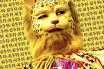 Leopard avatar HD