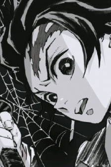 Demon Slayer: Kimetsu no Yaiba comic original painting avatar