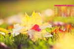 October 2022 Calendar Wallpaper