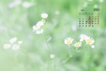 2021年4月護眼綠色風景桌麵日曆壁紙