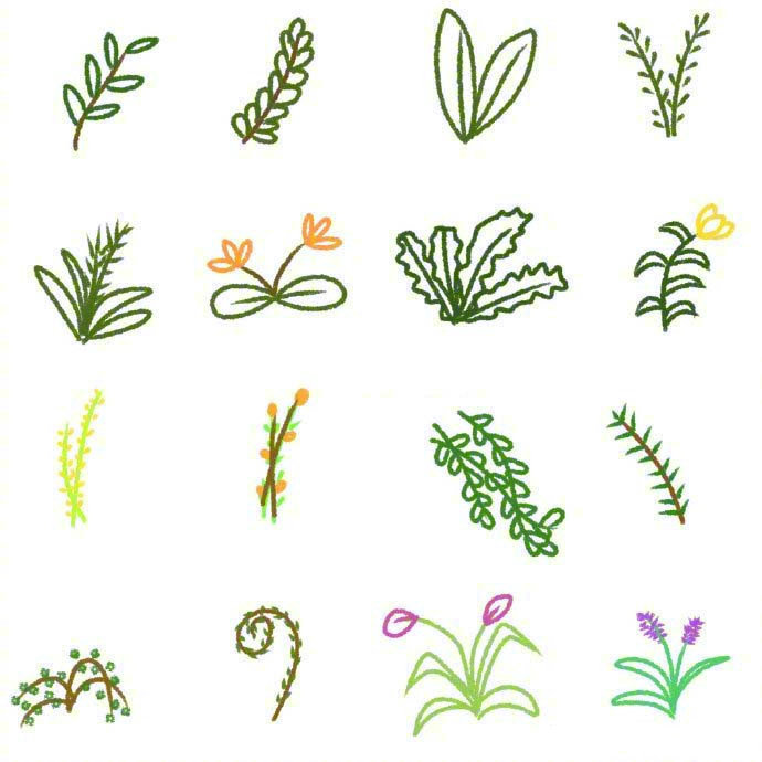 简单可爱植物简笔画图片