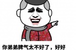 你弟弟脾气太不好了，好好教育教育，不然以后得吃大亏。