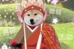 Shiba Inu version of New Journey to the West funny emoticon pictures