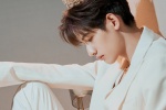 Gan Wangxing's elegant and handsome birthday photo