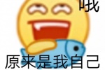 哦 原来是我自己在摸鱼