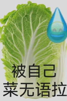 被自己菜無語拉表情包