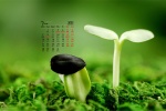 March 2022 eye-protecting green landscape desktop calendar wallpaper