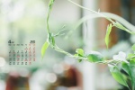 April 2022 green eye protection calendar desktop wallpaper