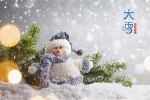 Cute snowman pictures desktop wallpaper during heavy snowfall