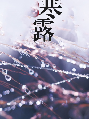 Twenty-four solar terms cold dew mobile wallpaper