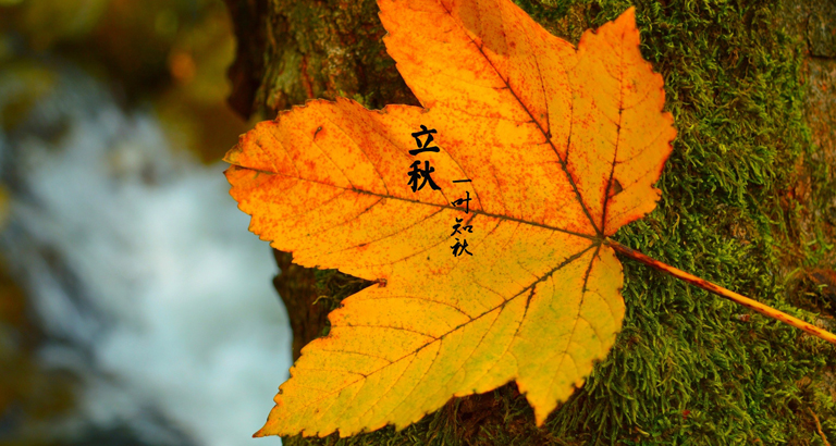 Beginning of autumn desktop wallpaper