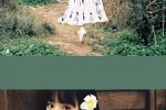 Tian Xiwei girly style mobile wallpaper