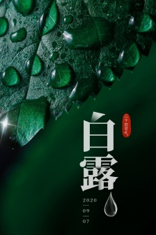 Solar term white dew green eye protection mobile wallpaper