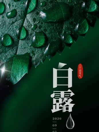 節氣白露綠色護眼手機壁紙