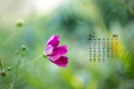 Eye-protecting green plants HD desktop calendar wallpaper for March 2022