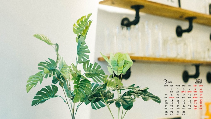 2022年3月小清新静物花卉日历壁纸