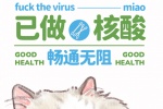 猫咪已做核酸主题手机壁纸