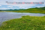 2021年11月绿色草原风景桌面日历壁纸