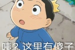 波吉咦这里有傻子表情包