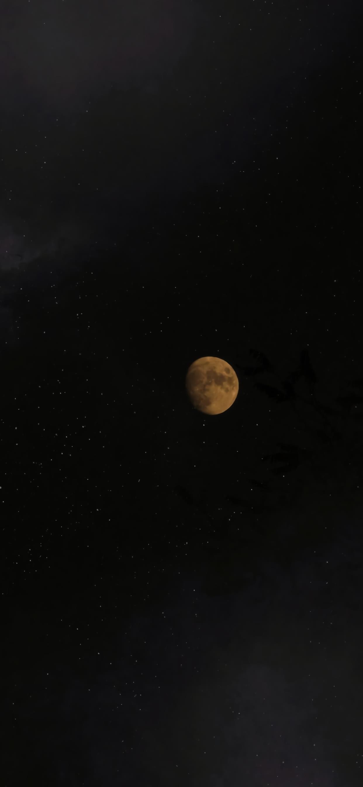 唯美月亮夜景手机壁纸
