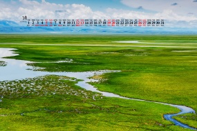 March 2022 green nature scenery desktop calendar wallpaper