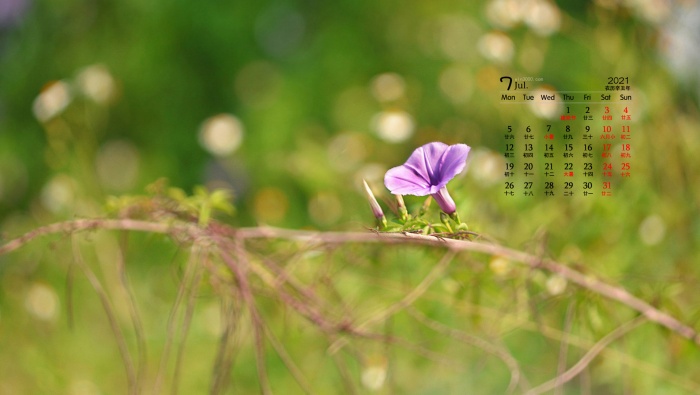 Eye-protecting green leaves desktop calendar wallpaper for July 2021