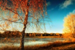 Beautiful natural scenery computer wallpaper at the beginning of autumn