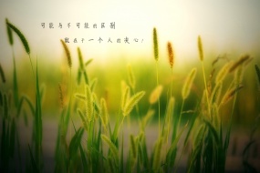 迎接八月勵誌語錄電腦壁紙