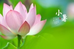 24 Solar Terms: Xiaoshu Pictures Desktop Wallpaper