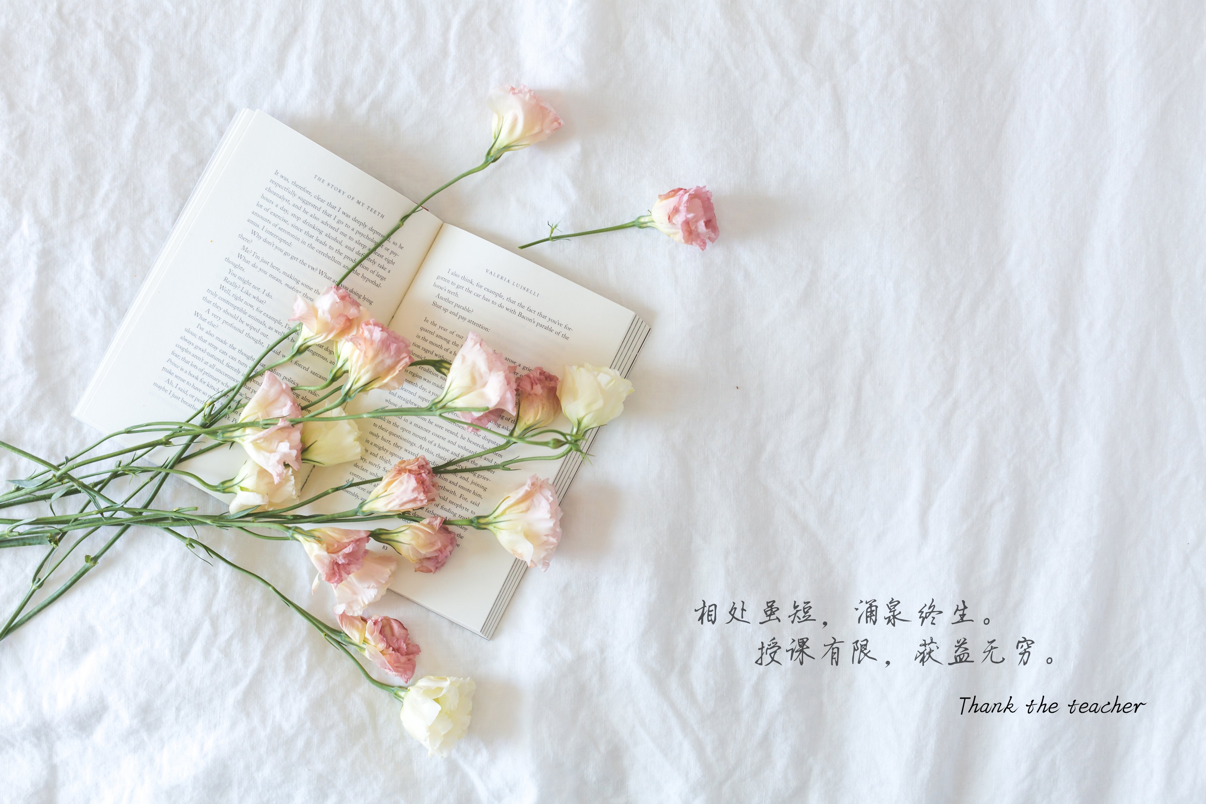Beautiful pictures and text wallpapers of thank you to my mentor