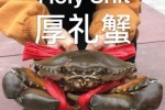 厚礼蟹（holy shit）