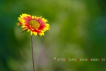 May 2022 Tianrenju Desktop Calendar Wallpaper