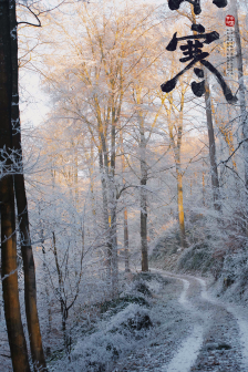 24节气之小寒手机壁纸