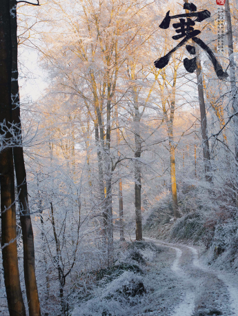 24節氣之小寒手機壁紙