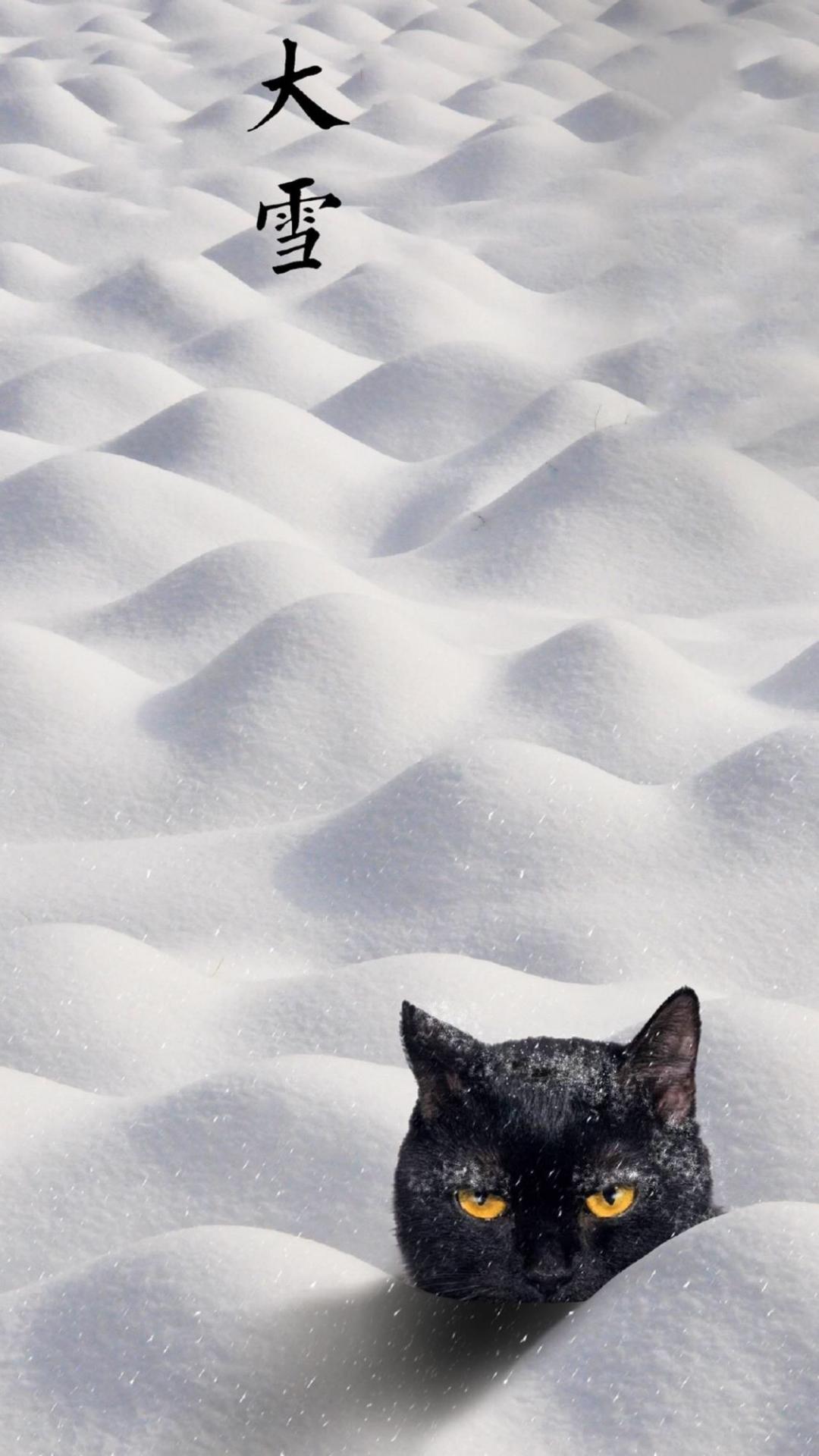 传统节气大雪之雪景图片手机壁纸