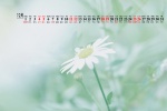 Simple and fresh desktop calendar wallpaper for December 2021