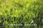 24 solar terms Qingming Festival outing pictures desktop wallpaper