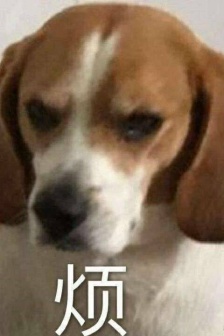 Essential emoticons for registration for Level 4 and Level 6