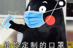 给你定制的口罩