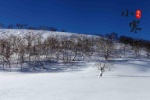 Solar term Xiaohan snow scene picture desktop wallpaper