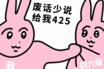 废话少说给我425