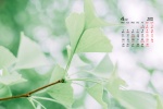 2022年4月樹葉花草護眼桌麵日曆壁紙