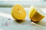 柠檬日历
