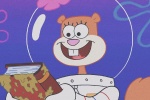 Spongebob sandy avatar